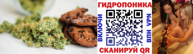 блэк спрут   Коммунар  Cannafood конопля 