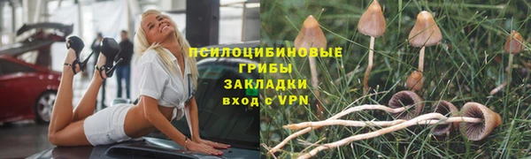 а пвп мука Балабаново