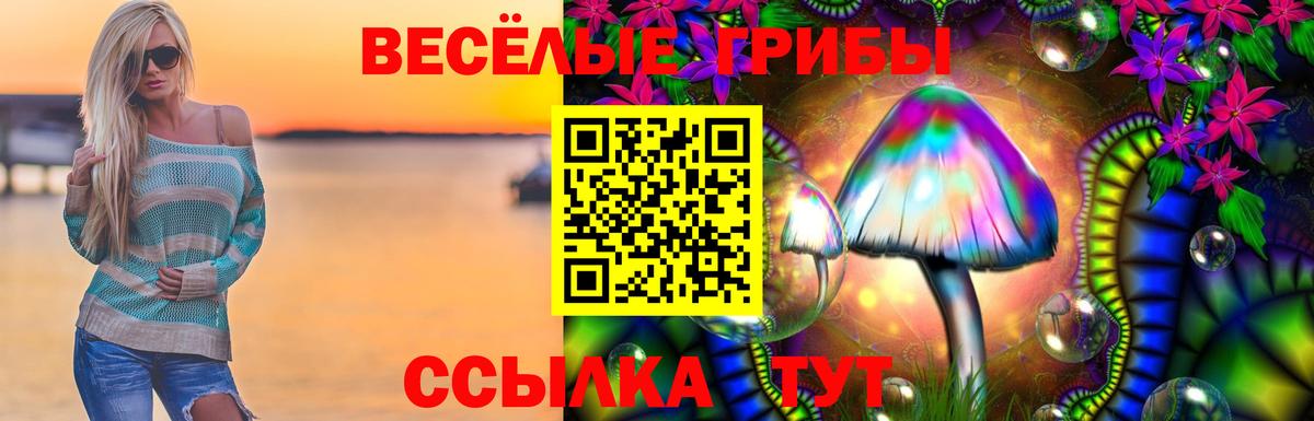 Псилоцибиновые грибы ЛСД  Вход с VPN  закладки  Коммунар 